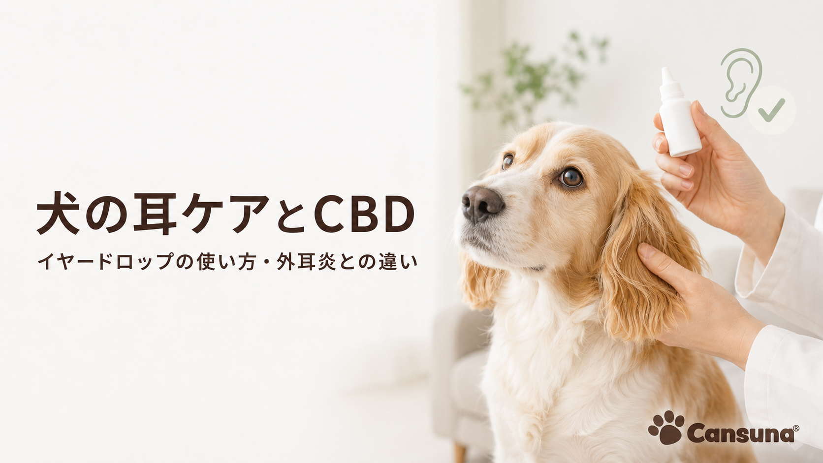 犬の耳ケアとCBD｜イヤードロップの使い方・外耳炎との違い【2026年版】