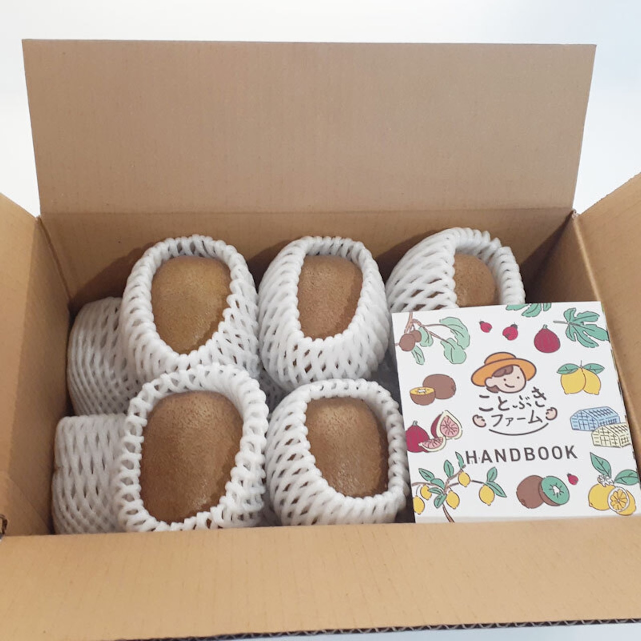 『ウッキッキ』キウイ 緑と黄 注文受付開始