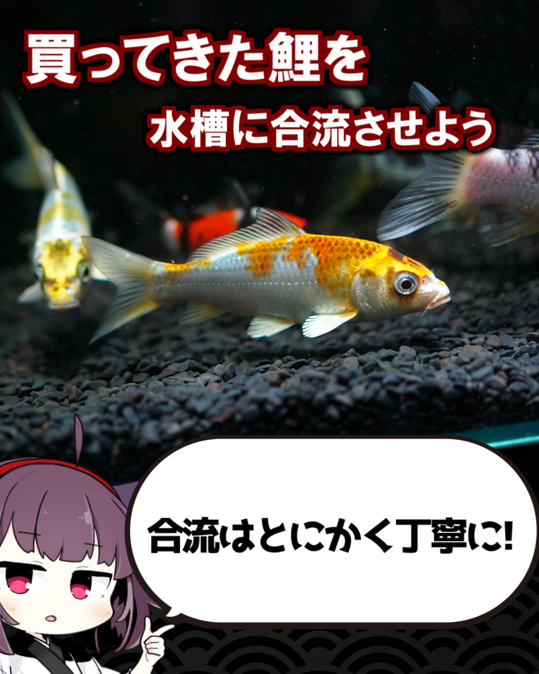 合流に気を付けてね