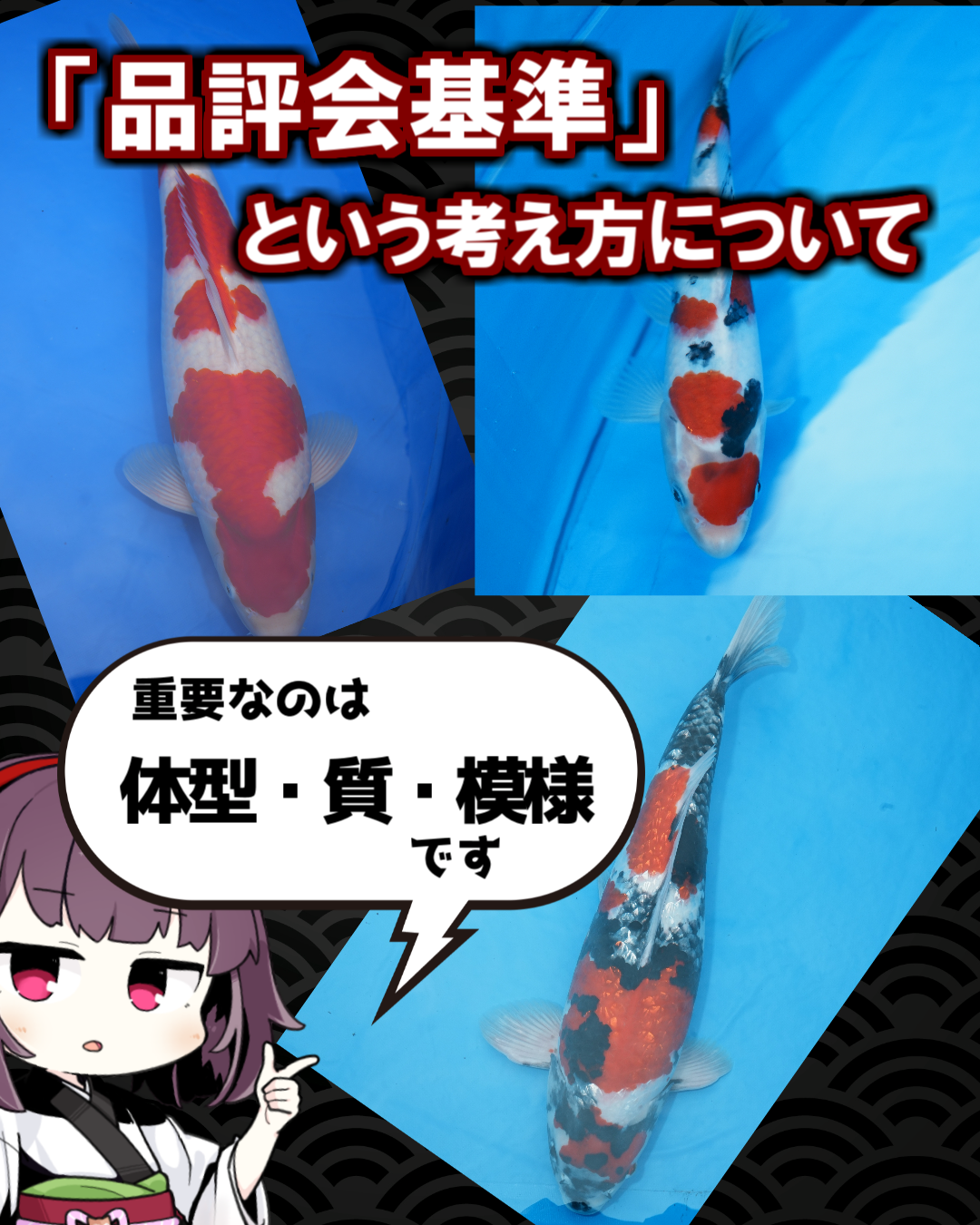 品評会に出品しよう！