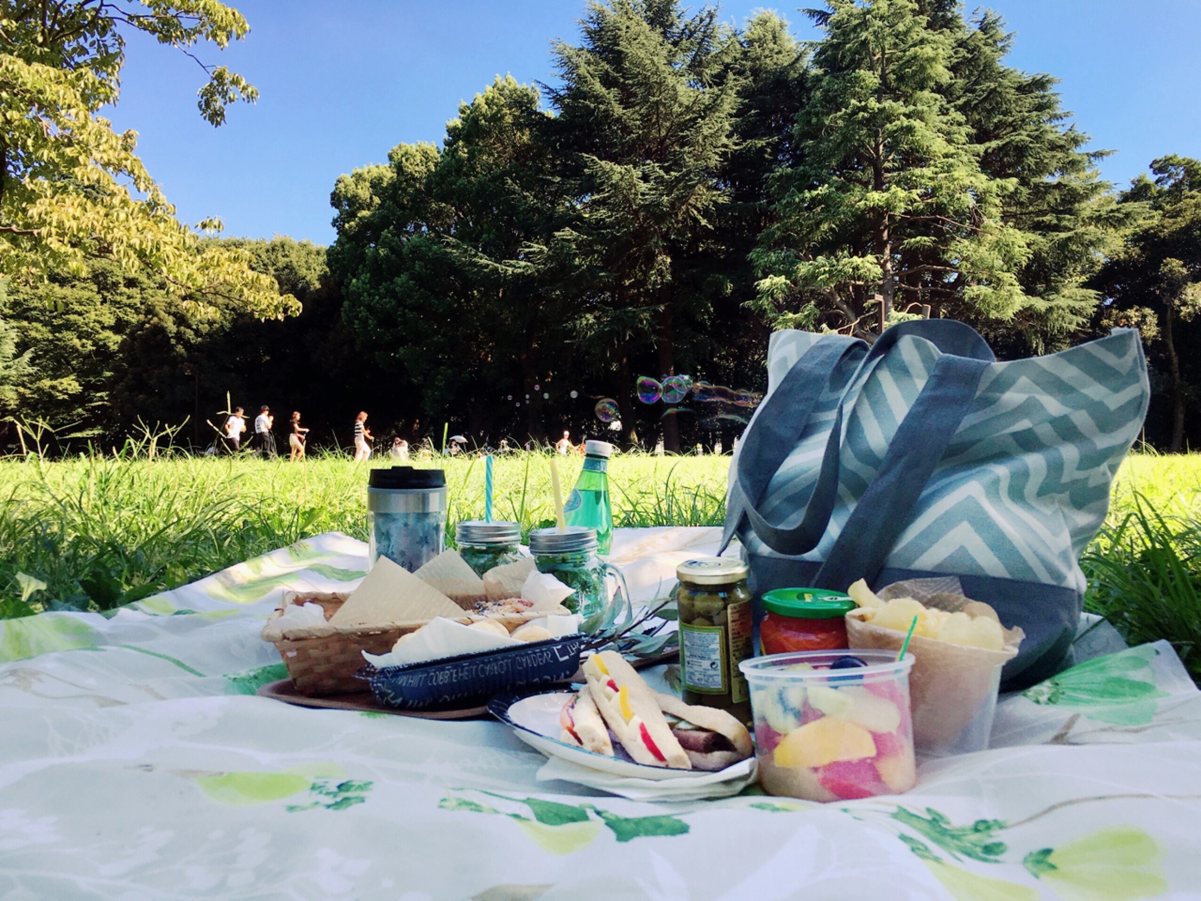 晴れた週末はピクニック 