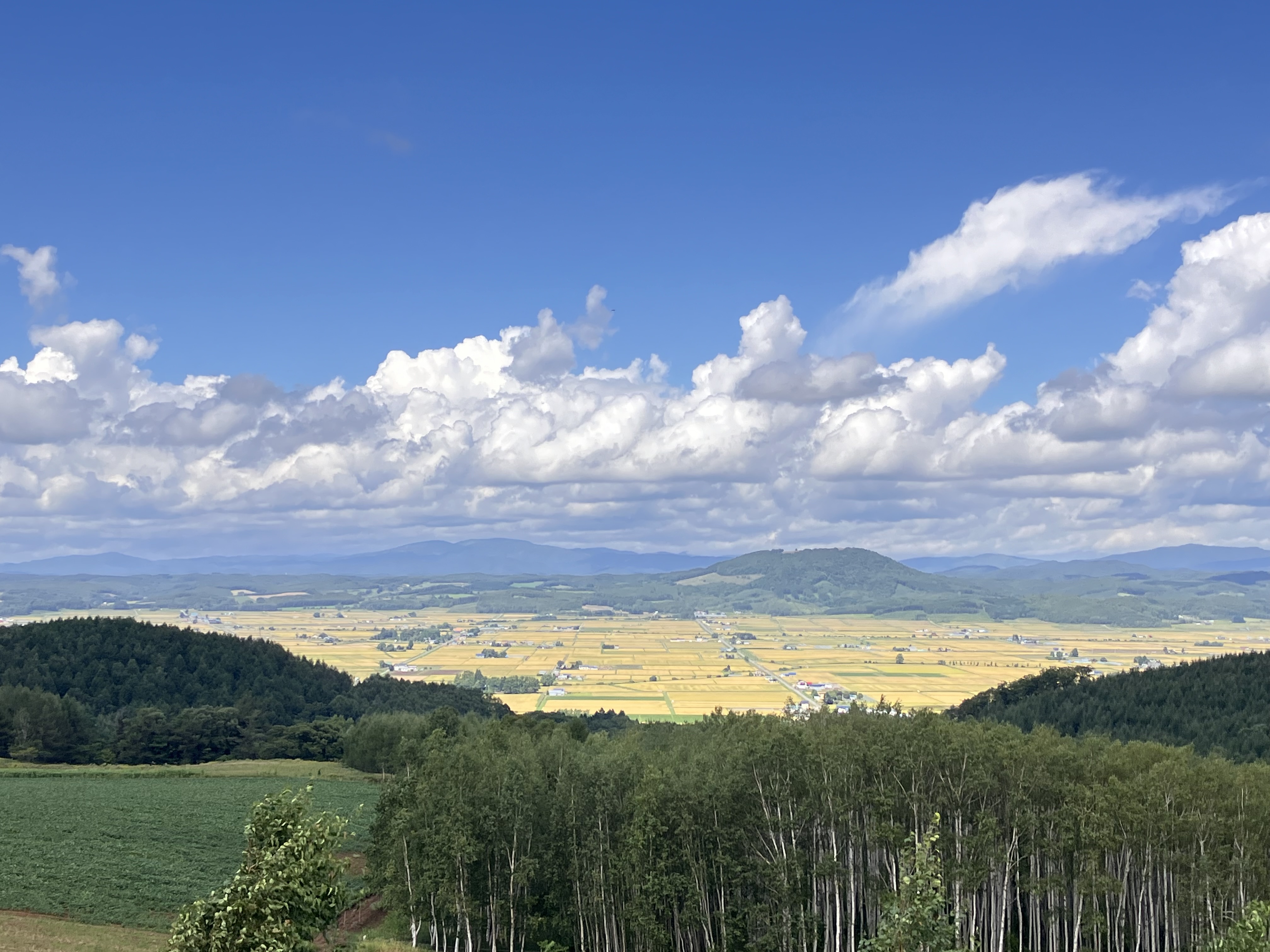 𓂑日本屈指の米所！北海道深川市！