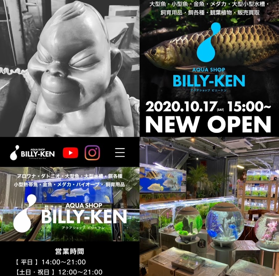 10/17UP　おかげさまで５周年！