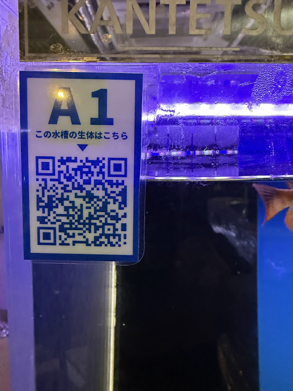 9/7UP　展示水槽のQRコードについて