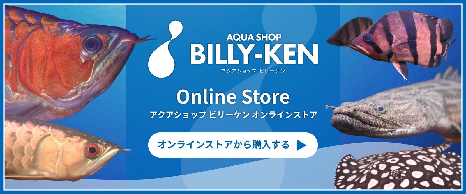 1/26UP　◆寒波による発送見合わせのご案内◆
