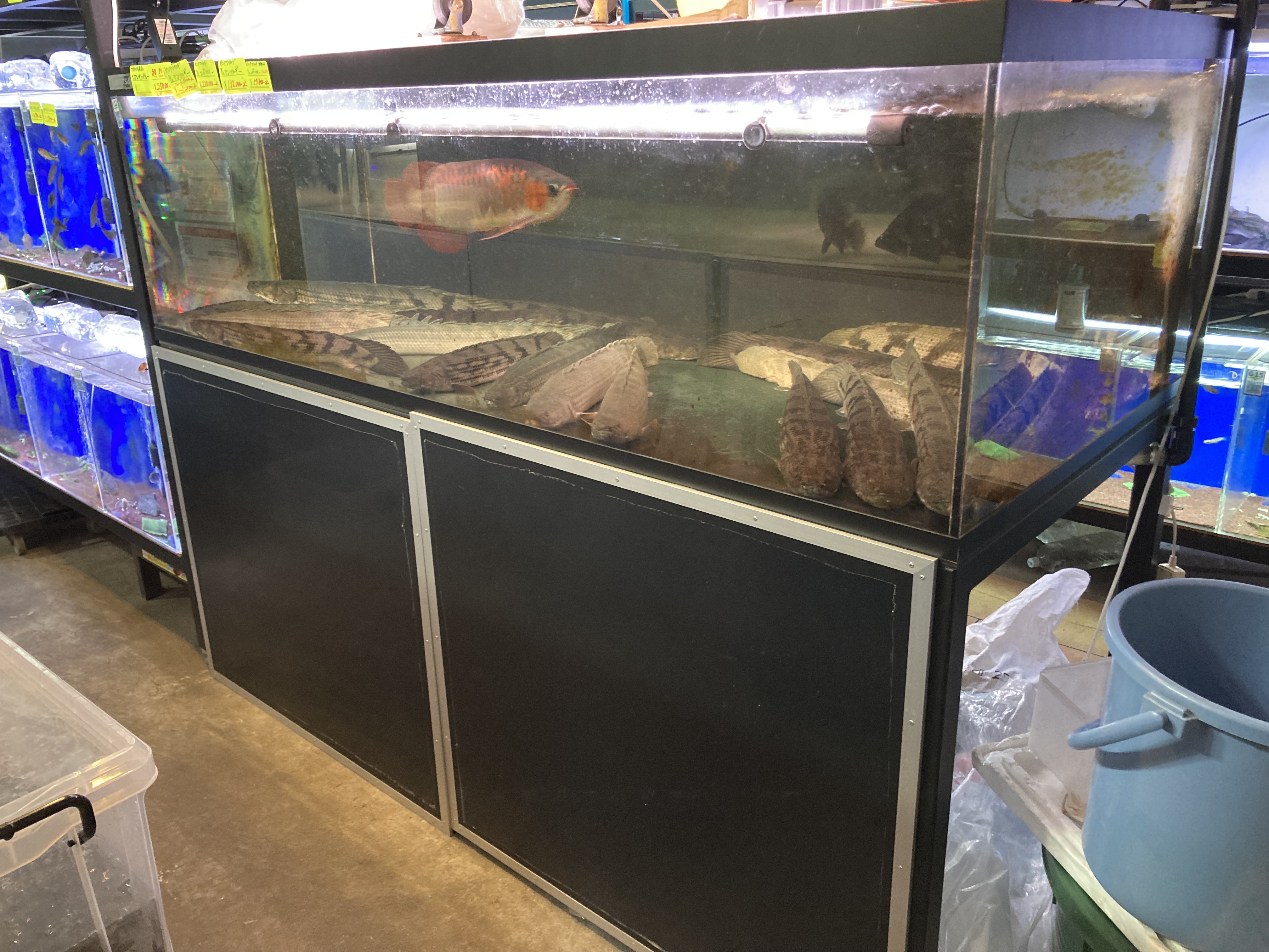 11/21UP ◆お知らせ◆本日オープン遅れます