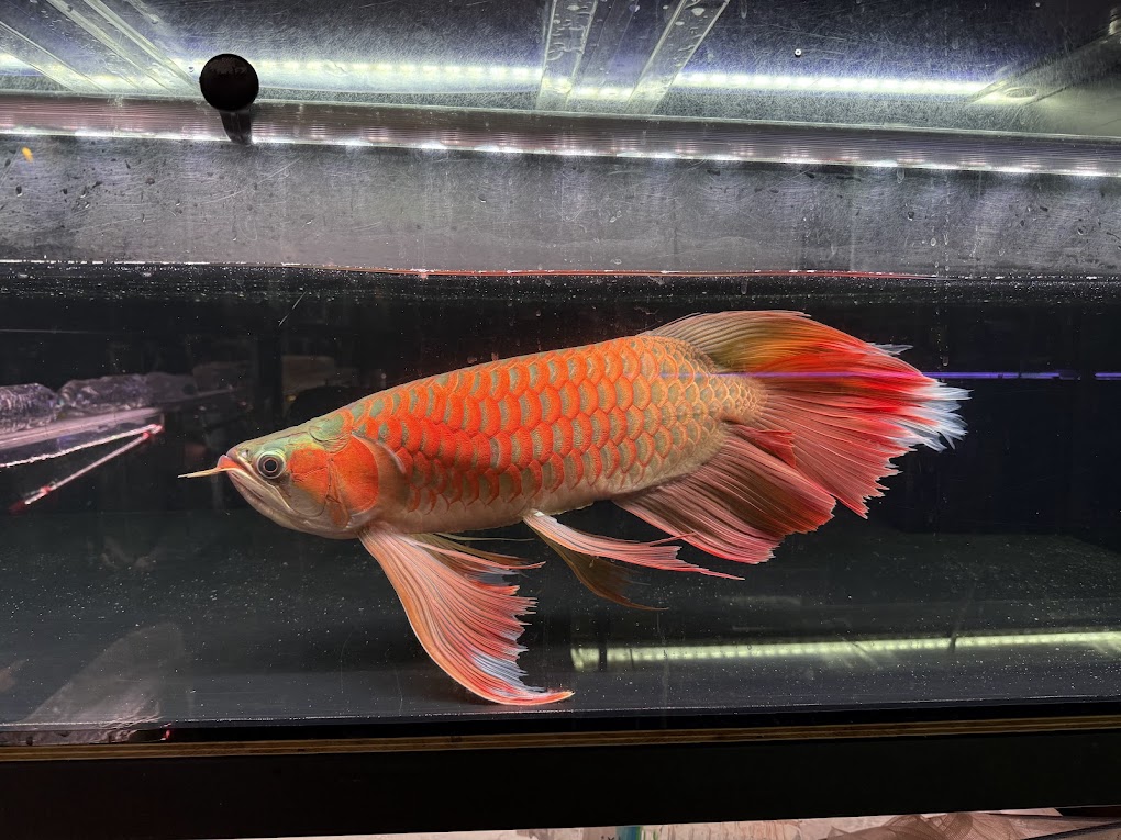 12/31UP   2025年ありがとうございました