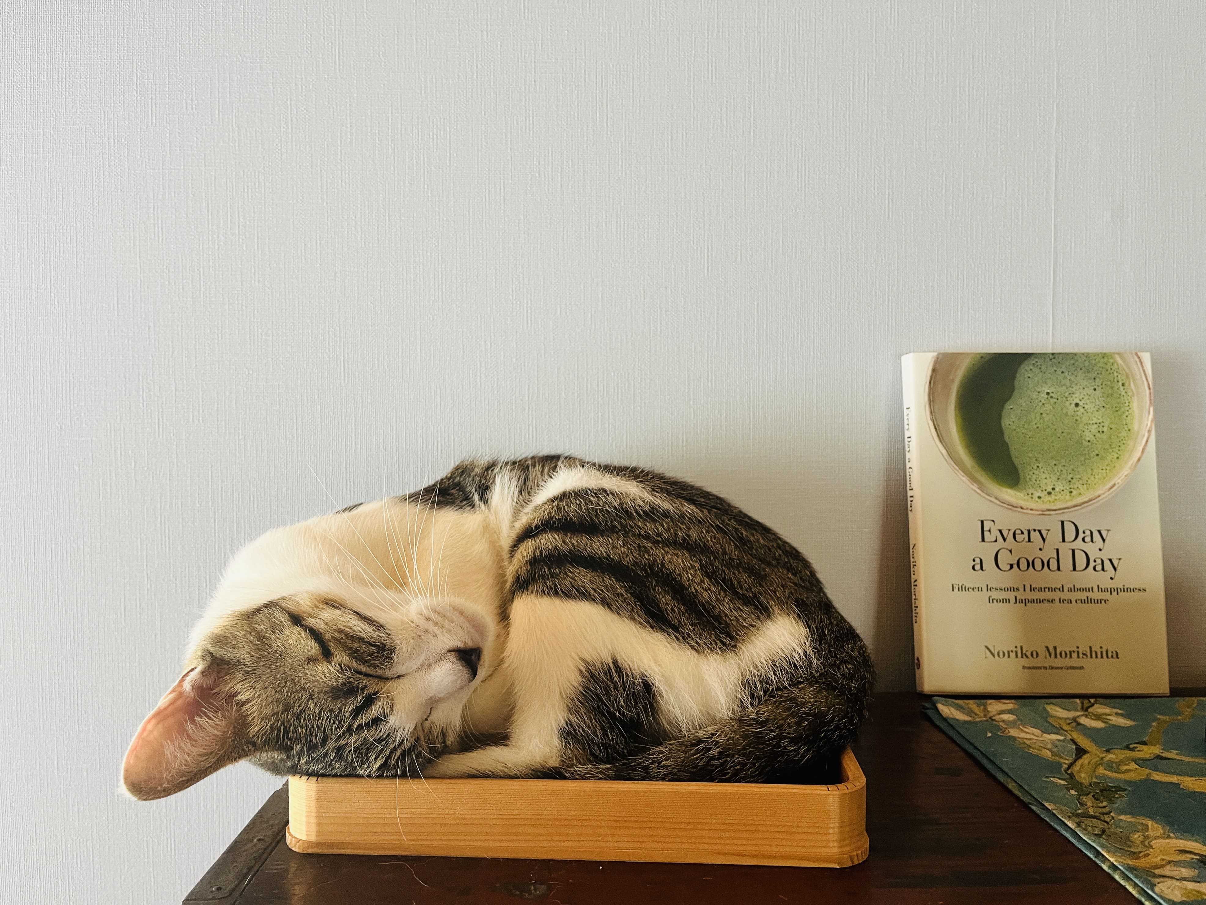 一番好きなお茶