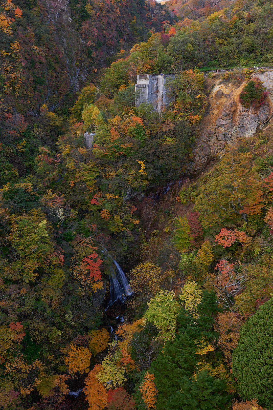 秋彩を求めて　Autumn Jorney through Fukushima