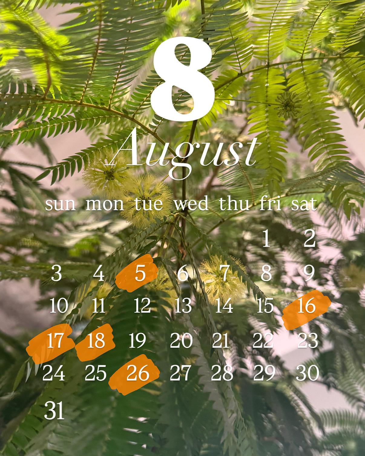 定休日のお知らせ