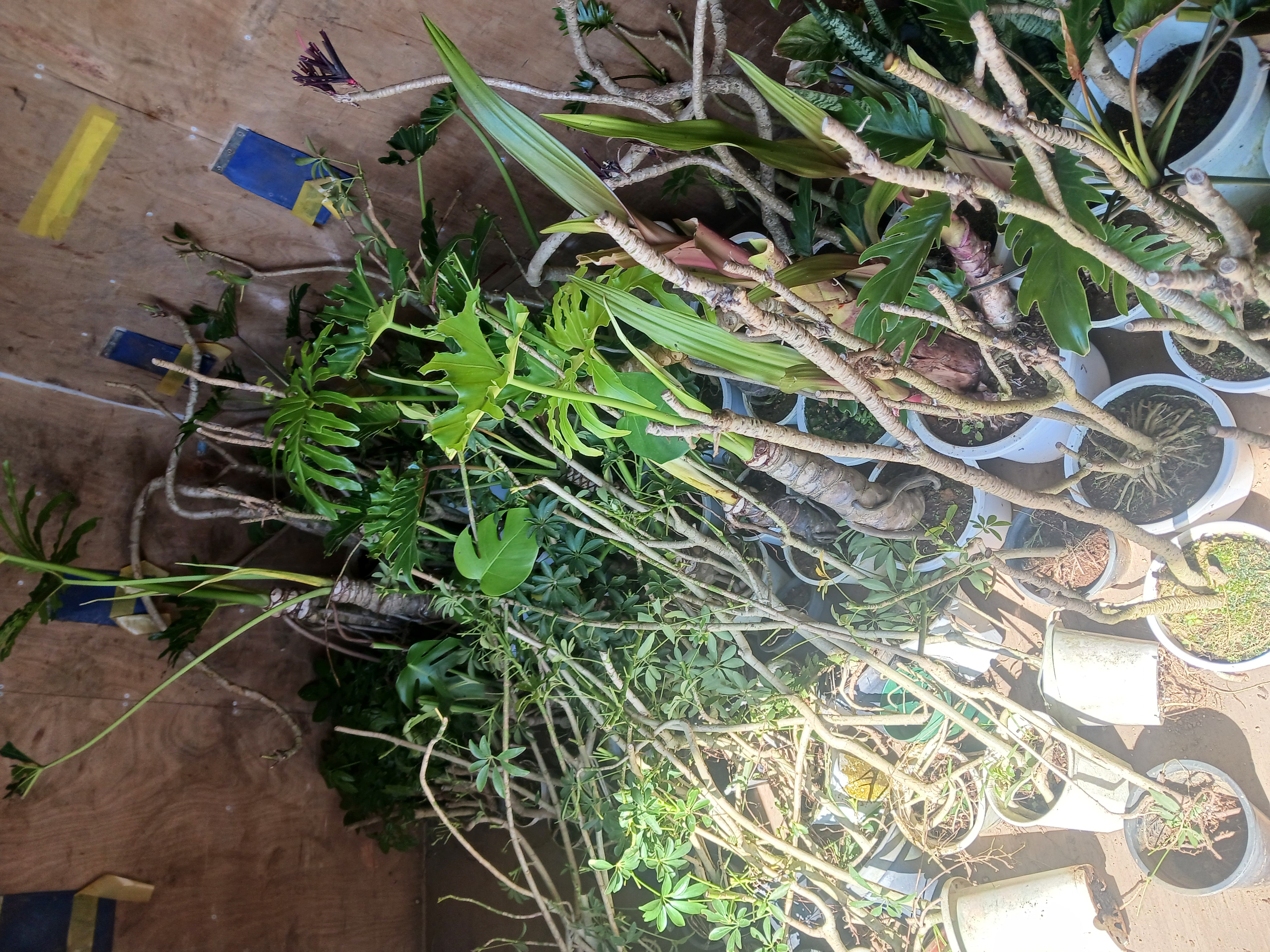 GreenSecret｜初のコンテナ仕入れ