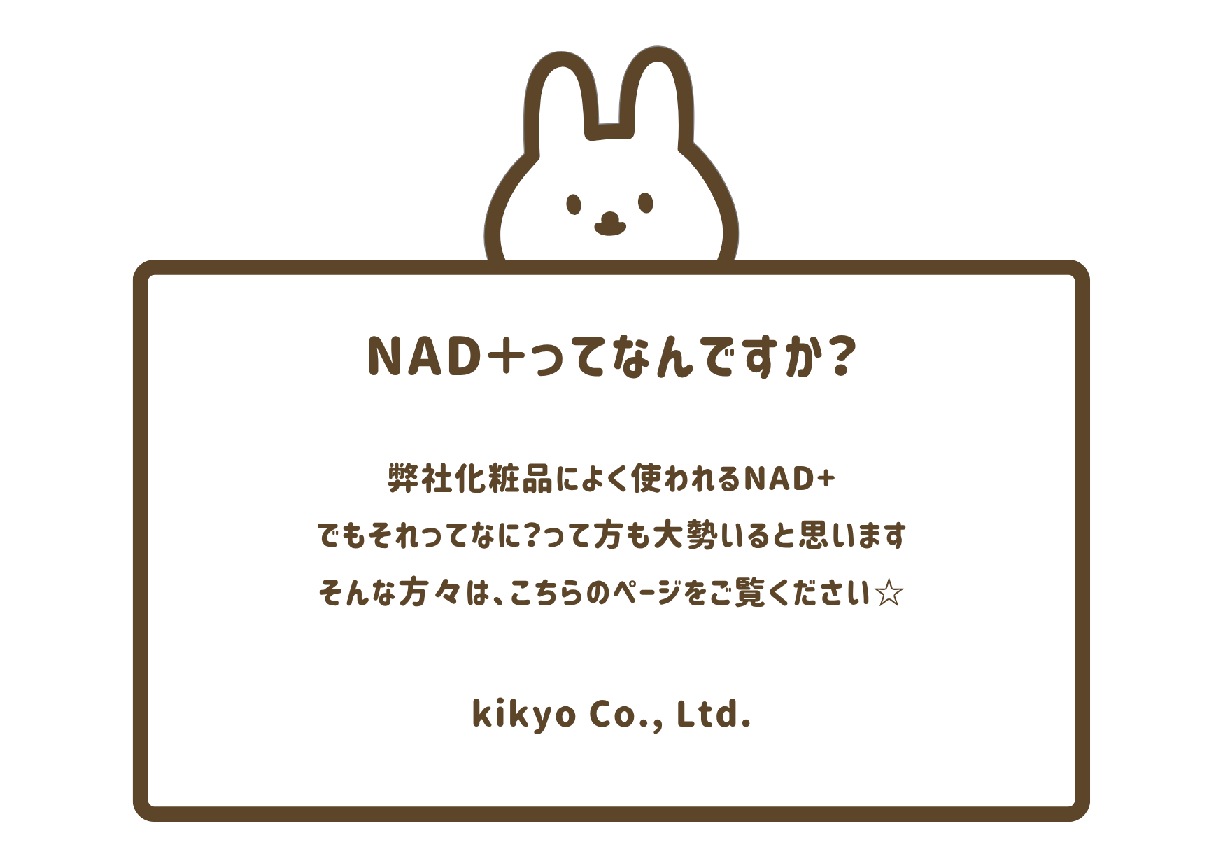 NAD⁺ってなに?