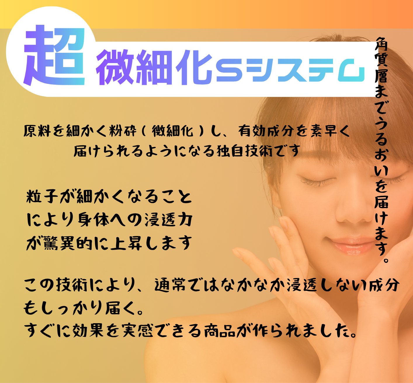 超微細化Sシステムってなに？