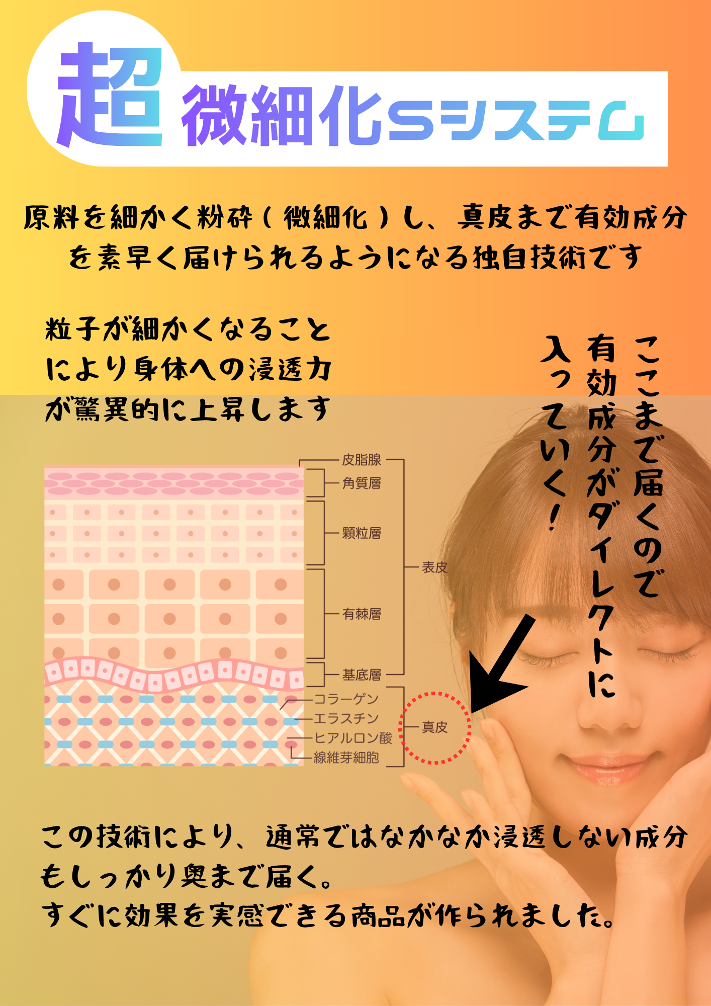 超微細化Sシステムってなに?