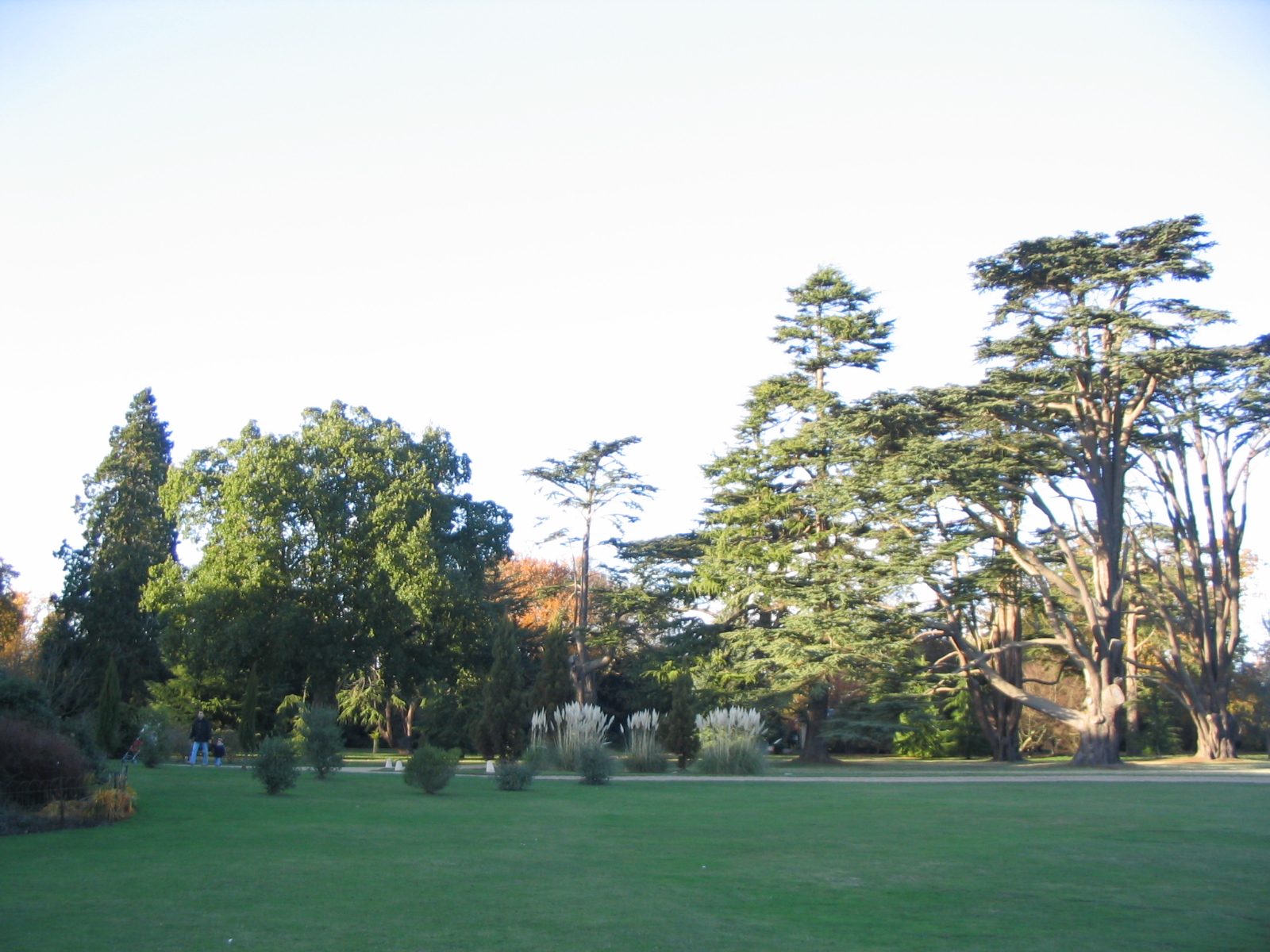 イングリッシュ・ガーデン English Garden