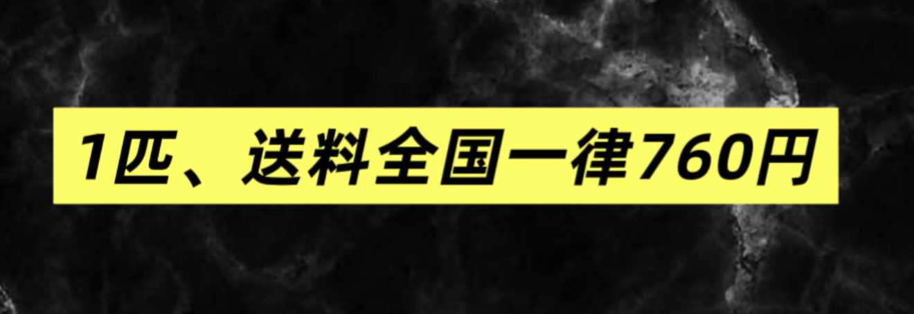 送料について