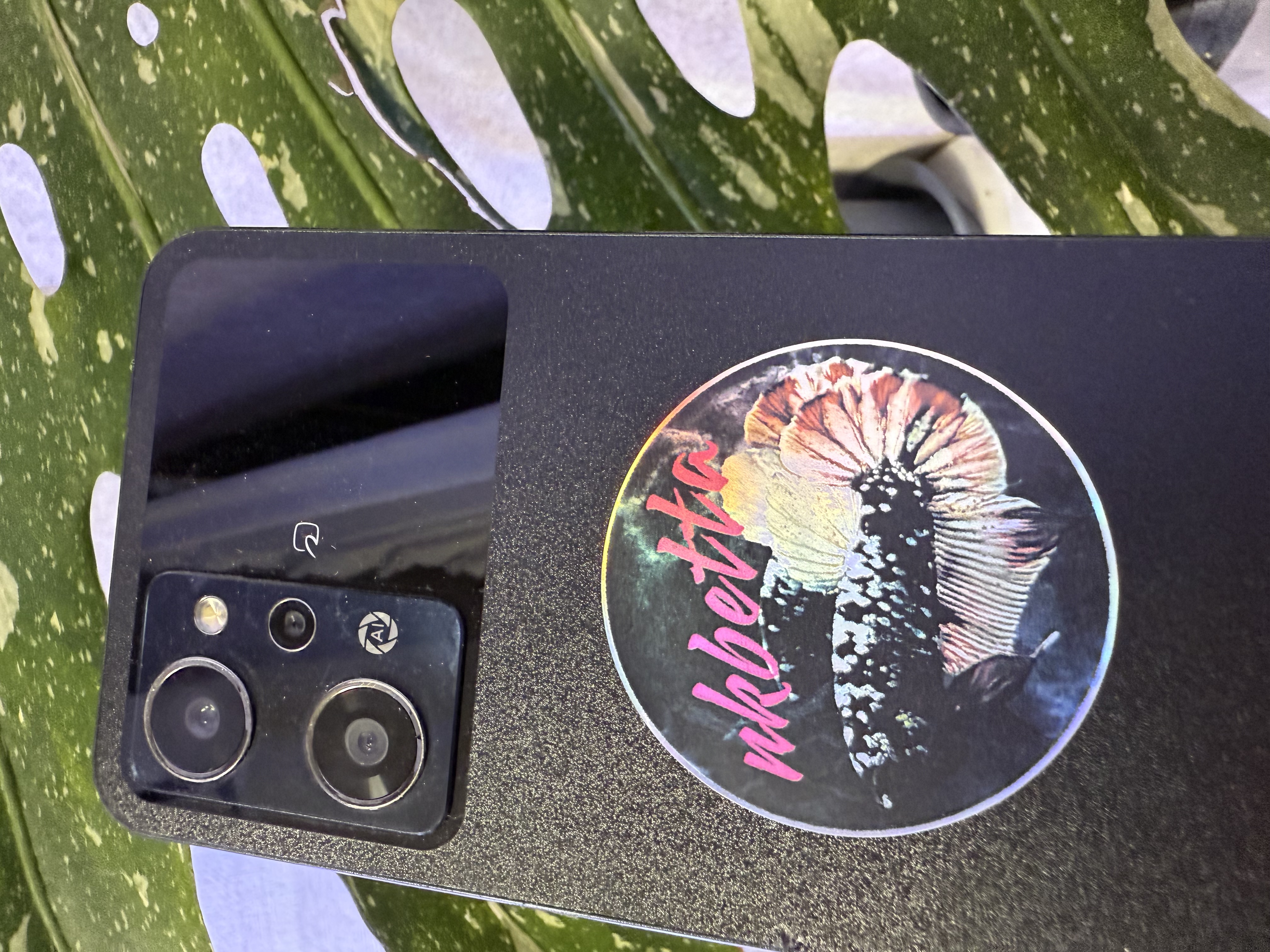 ロゴステッカー発売!