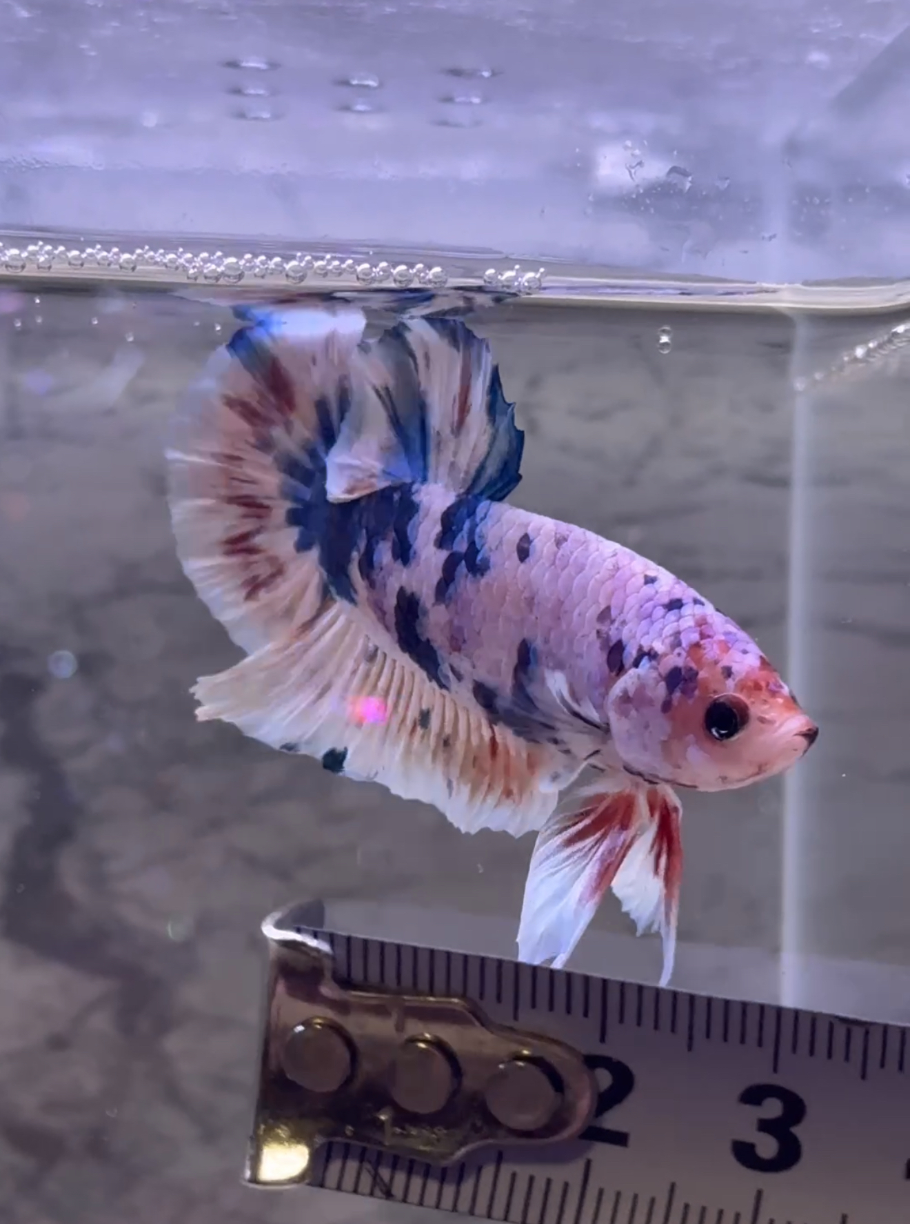 形最高!高級感のある上品な君!そう君!指名で♡