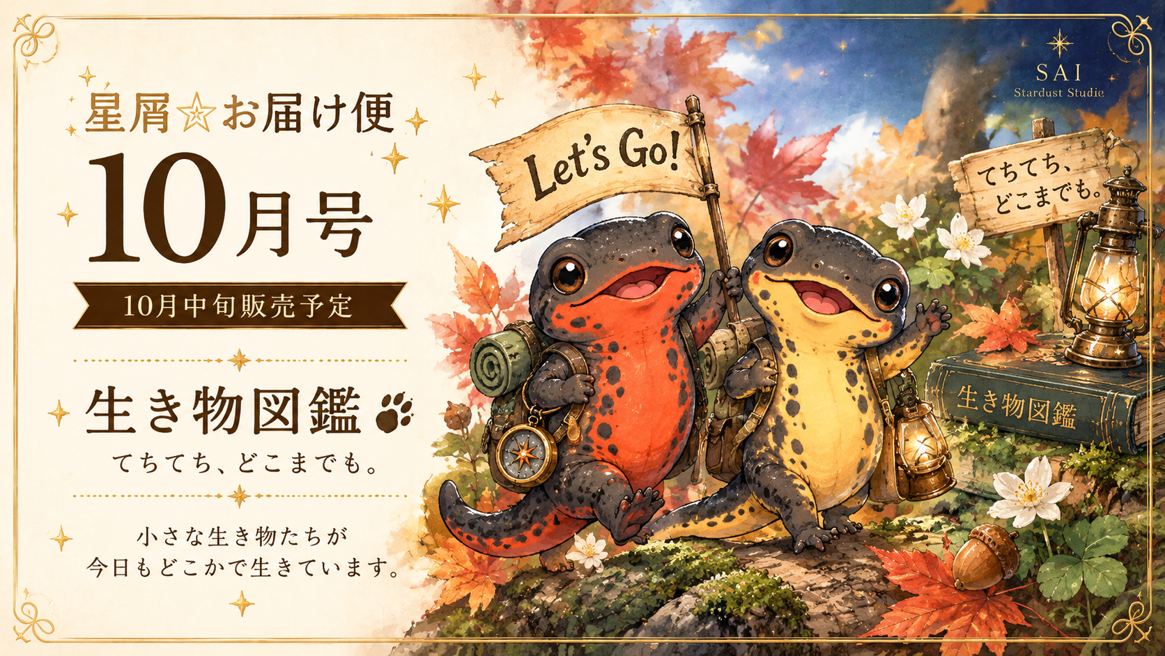 星屑☆お届け便10月号を考え中です~✨