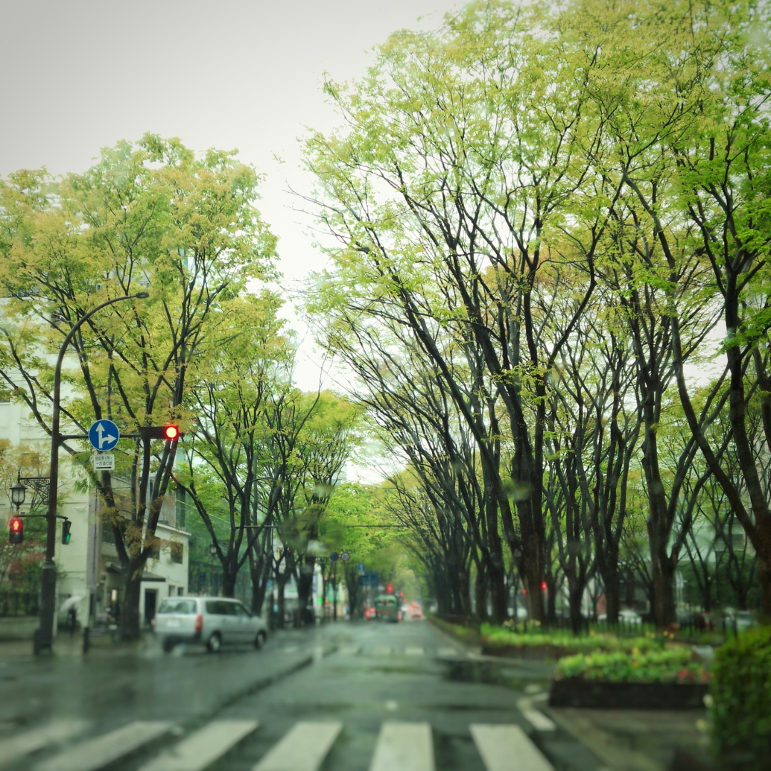 仙台城下の旅4『定禅寺通り』