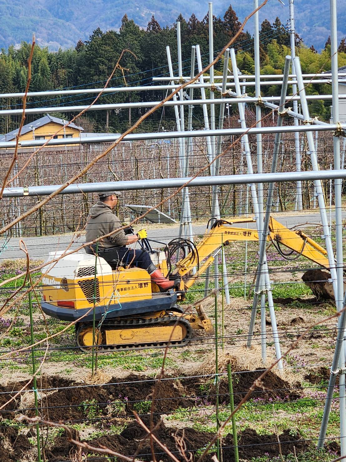 早いことに3月になってしまいました