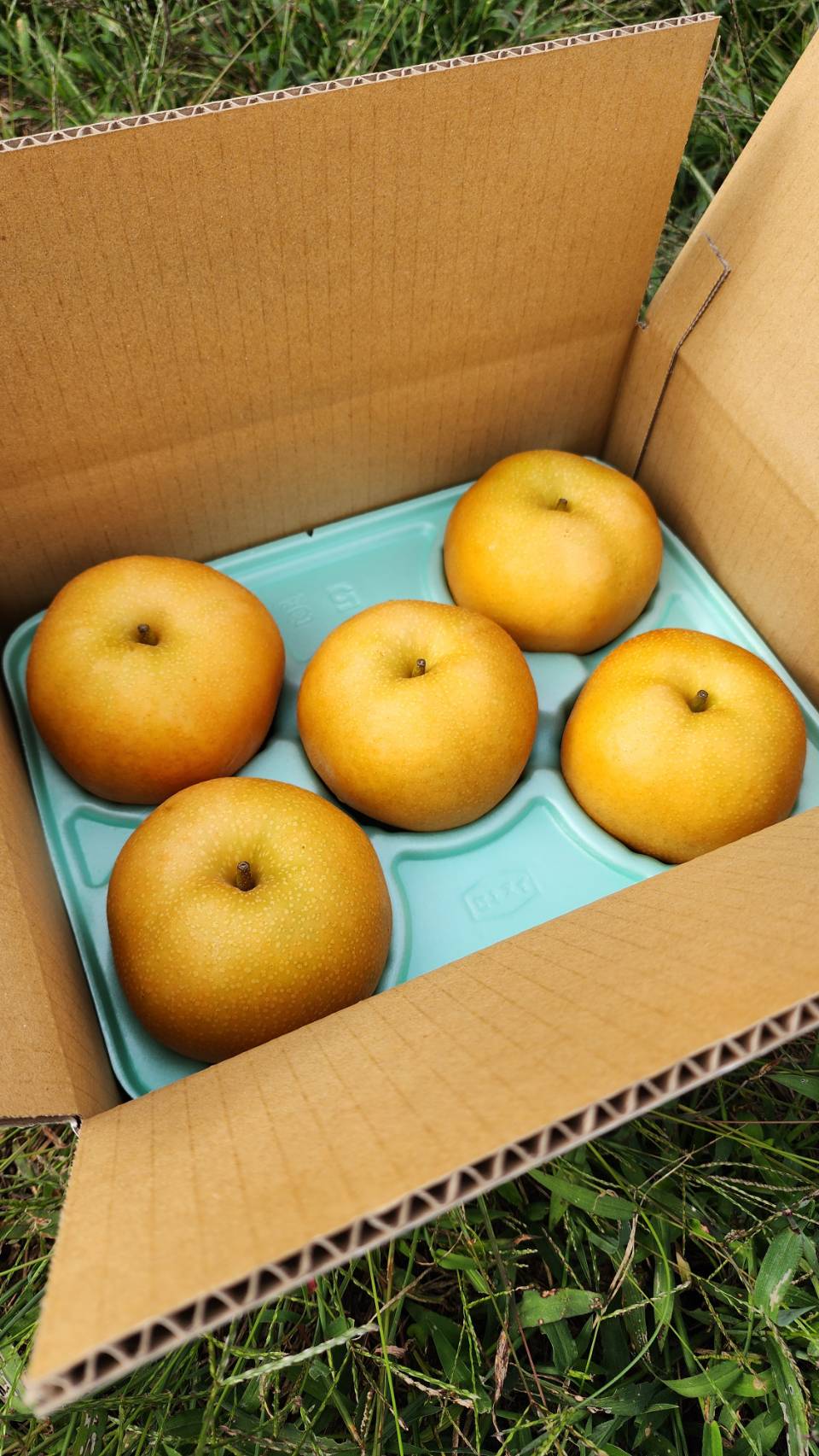 家庭用南水の販売開始します