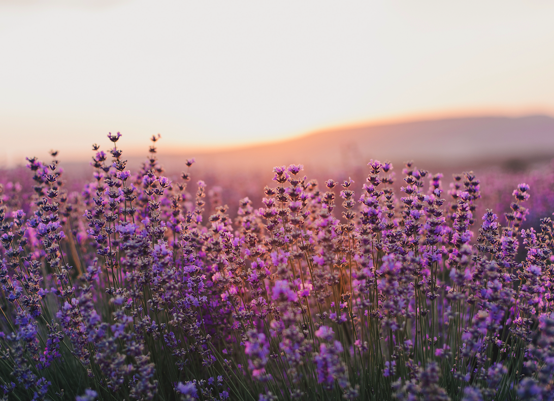 「精油の選び方」