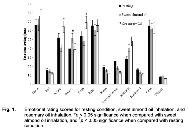 ローズマリー精油はなぜ“覚醒”させるのか？
