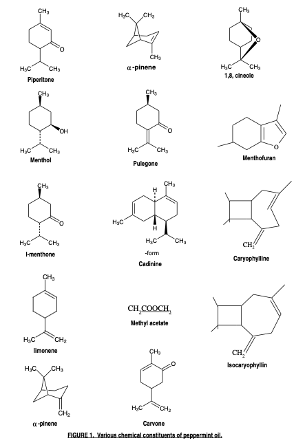 ペパーミント精油の「本当の実力」──科学が解き明かした9つの働き