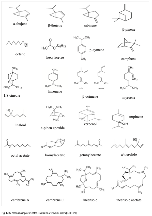 フランキンセンス精油の効果は本物？ 科学が証明する7つの効能と成分を徹底解説