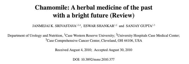 カモミールは抗炎症・鎮静・消化サポート・睡眠改善まで“万能ハーブ”