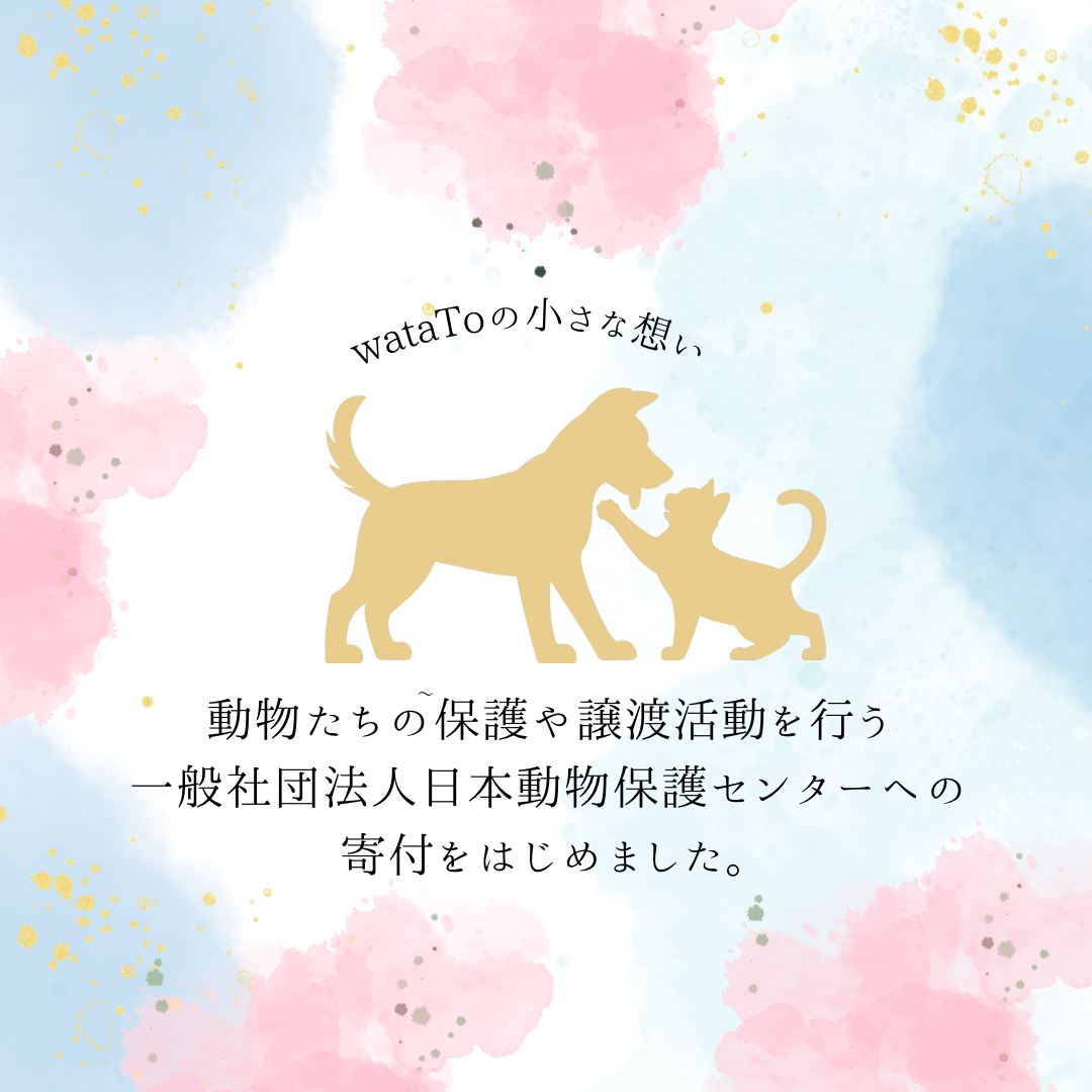 小さな想いから🌿