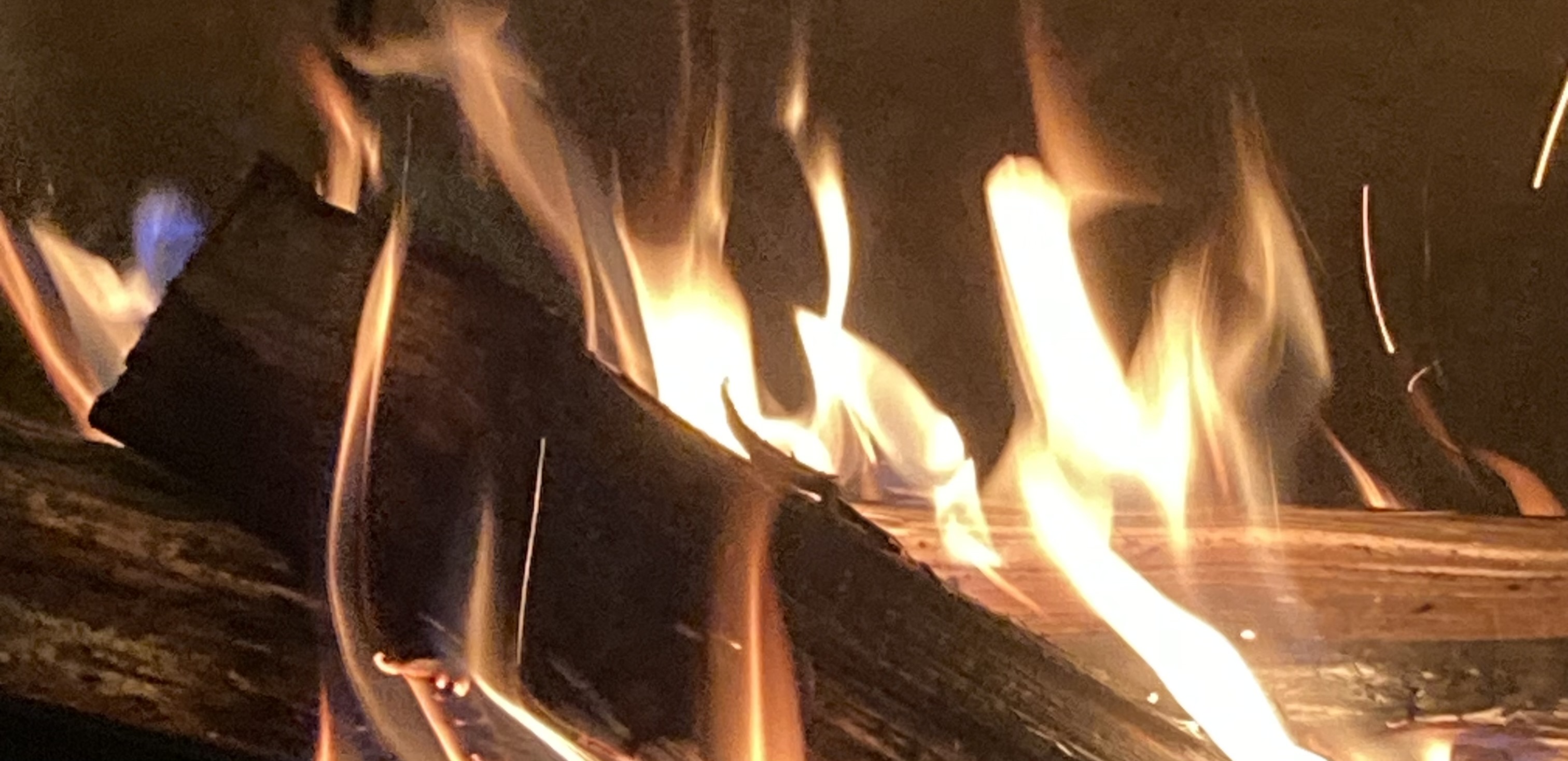 10月のお知らせ