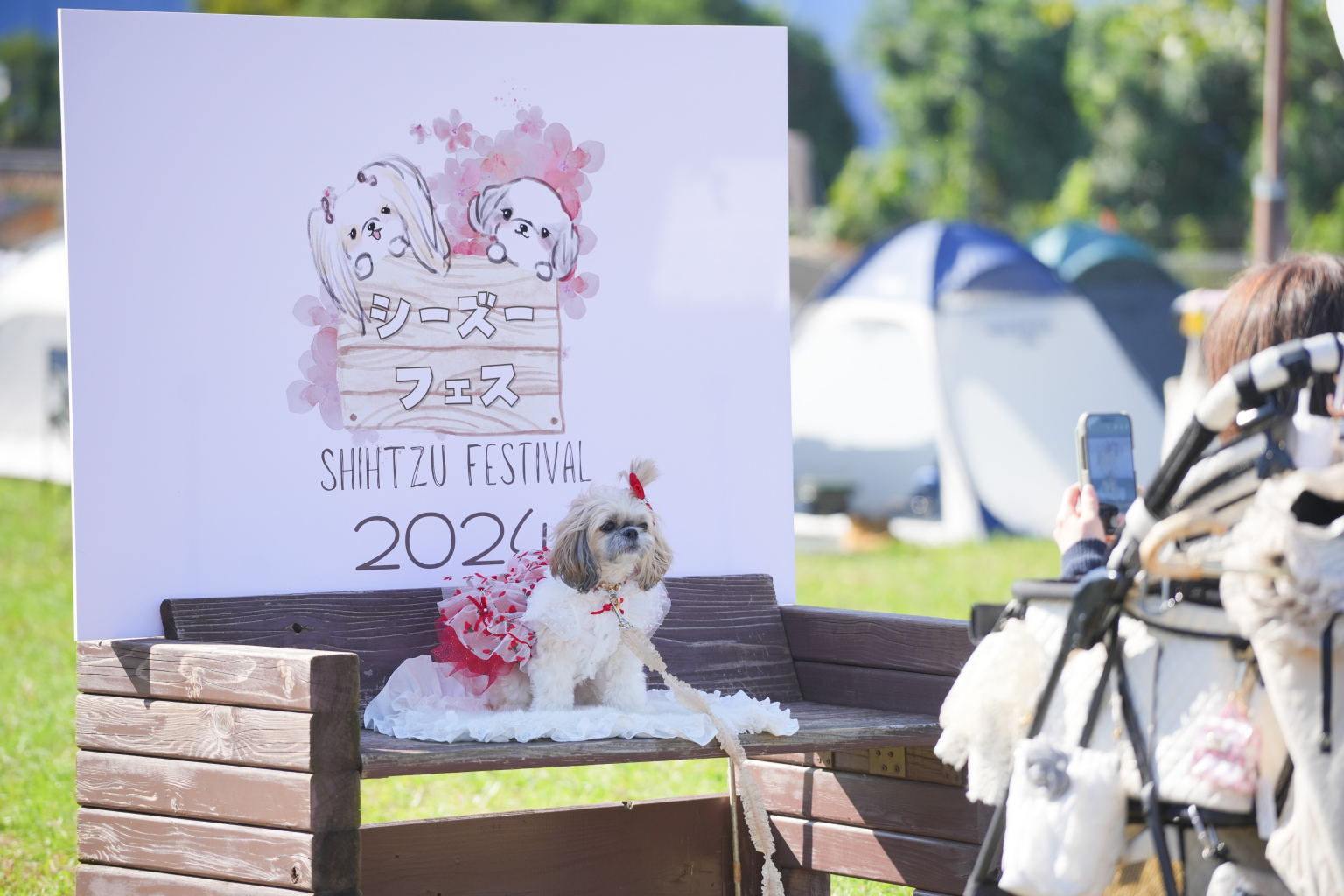 シーズーフェスティバル2025meets  大阪北港マリーナ　に出展します