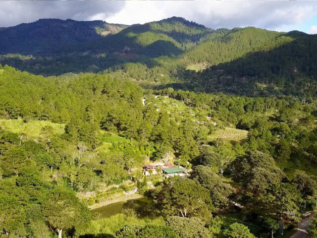 Beans：El Naranjo/ Nicaragua