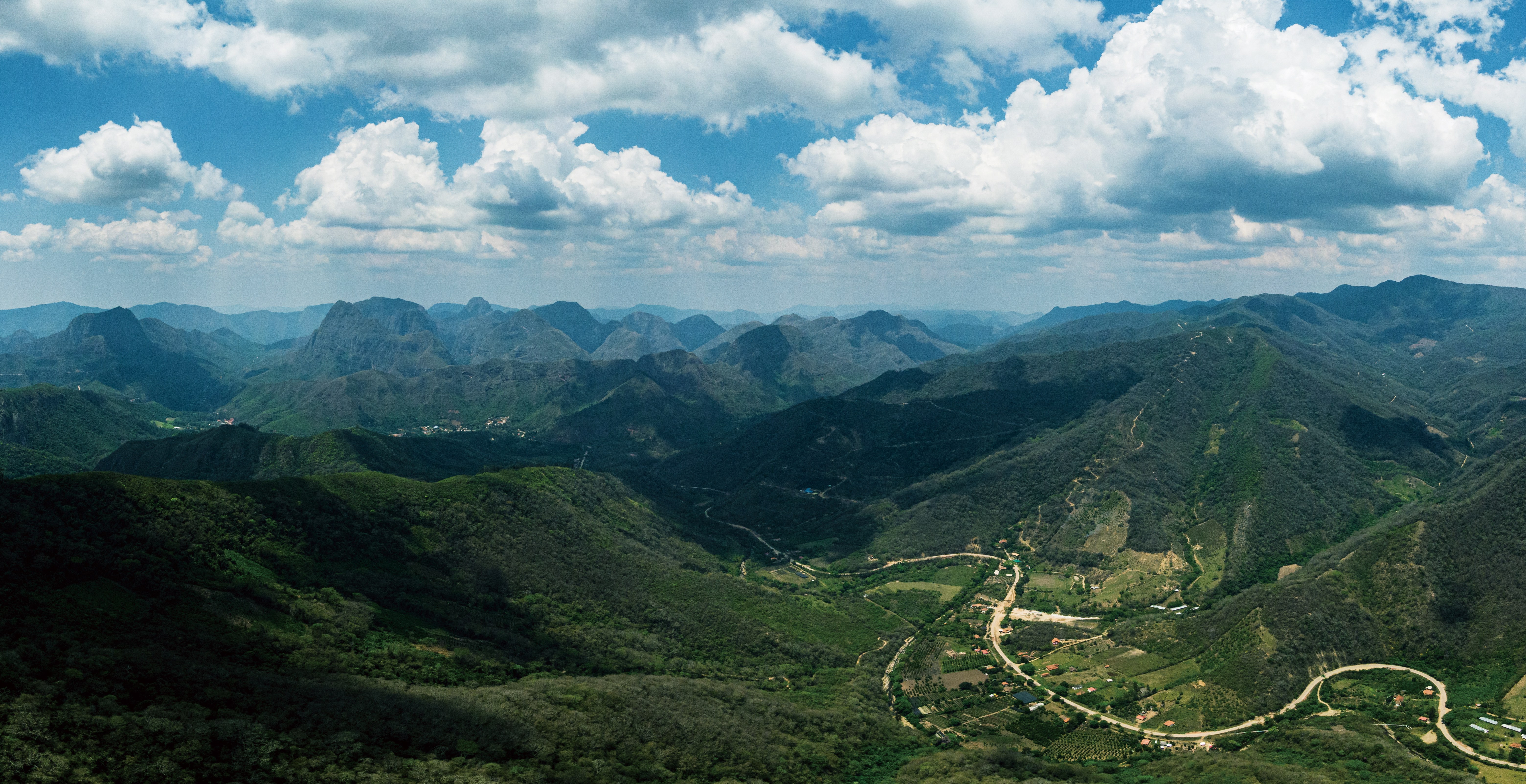 Beans：Taypiplaya/ Bolivia