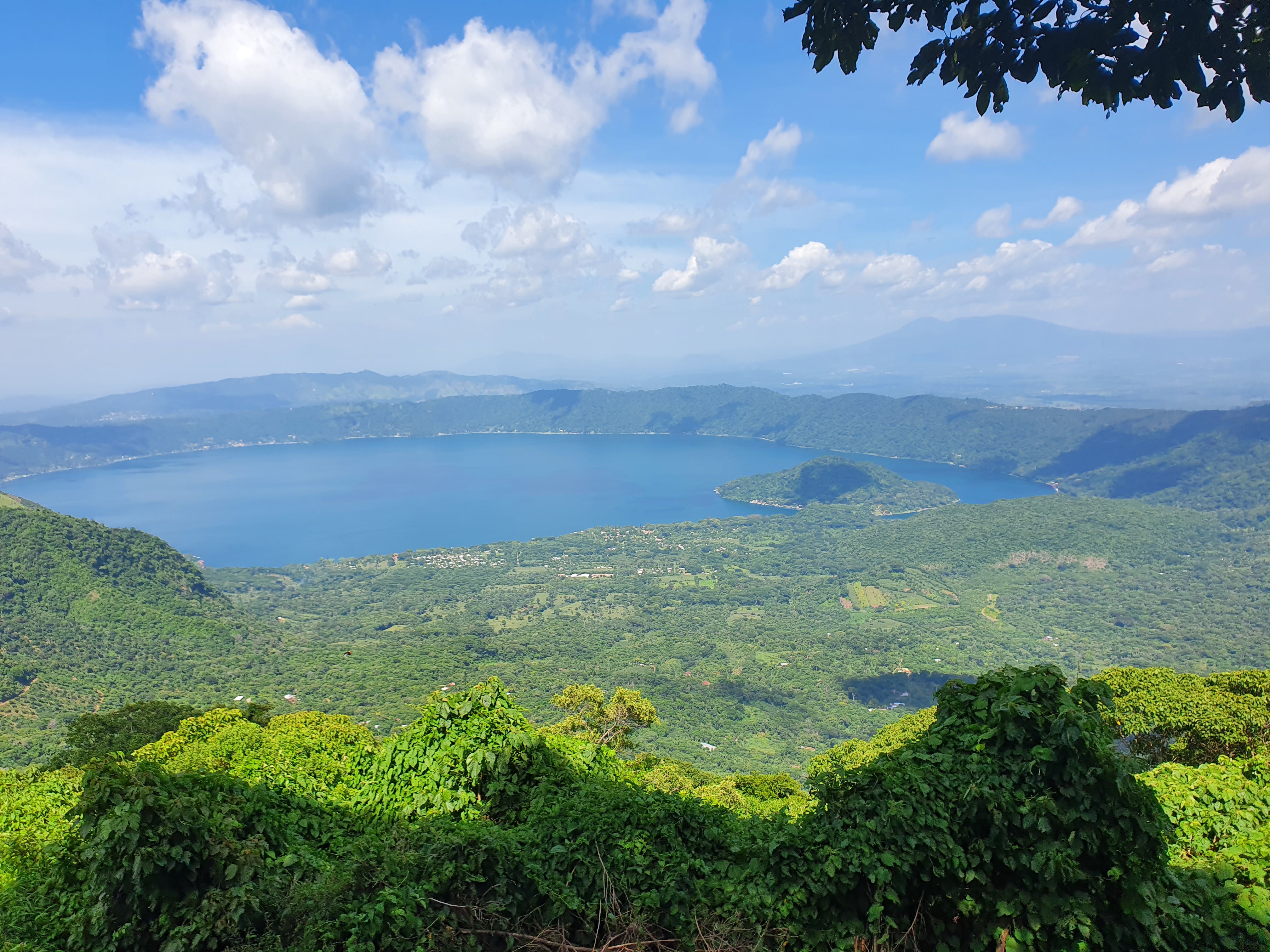 Beans：Las Laderas/ El Salvador