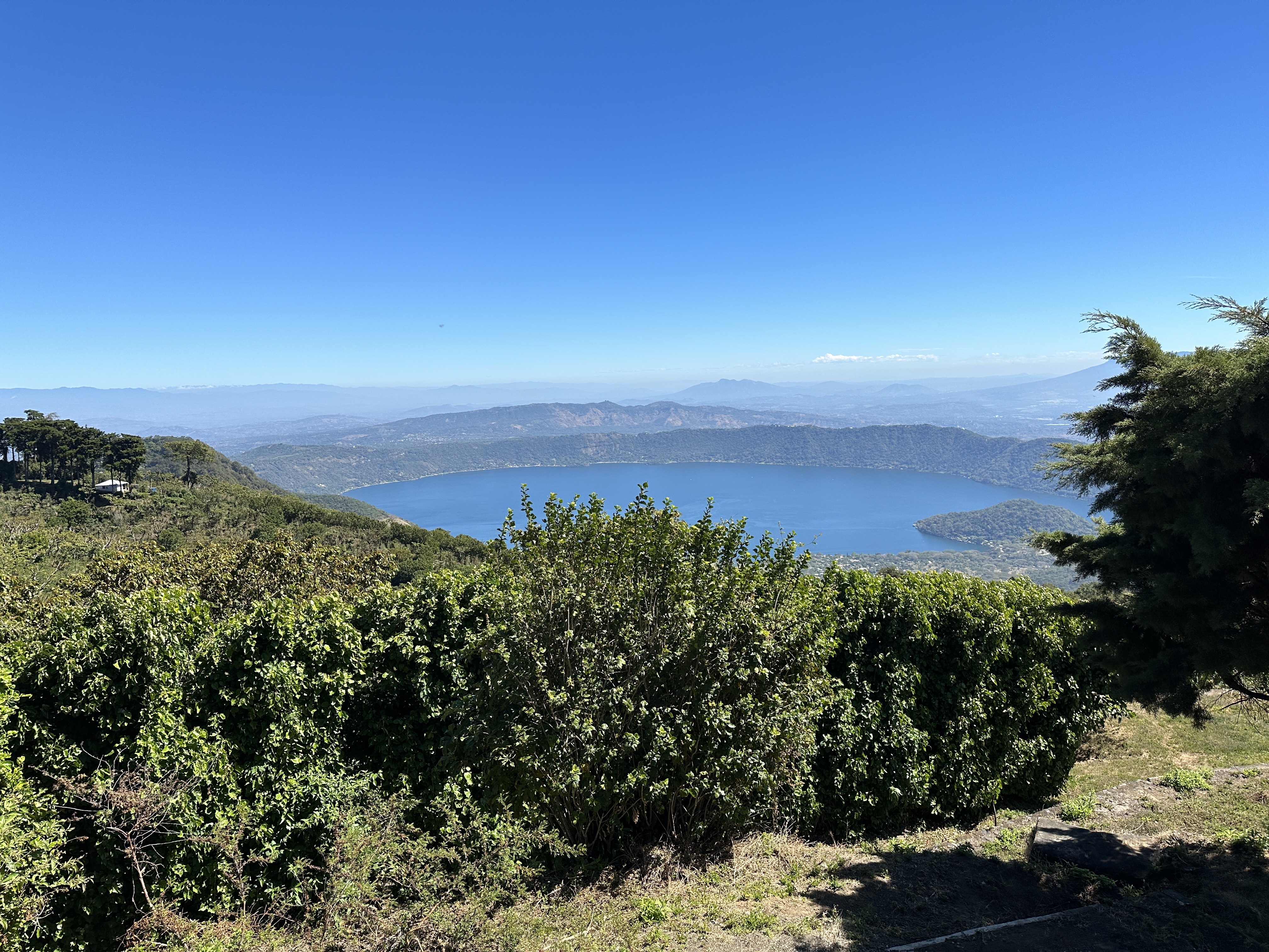 Beans：Santa Elena/ El Salvador