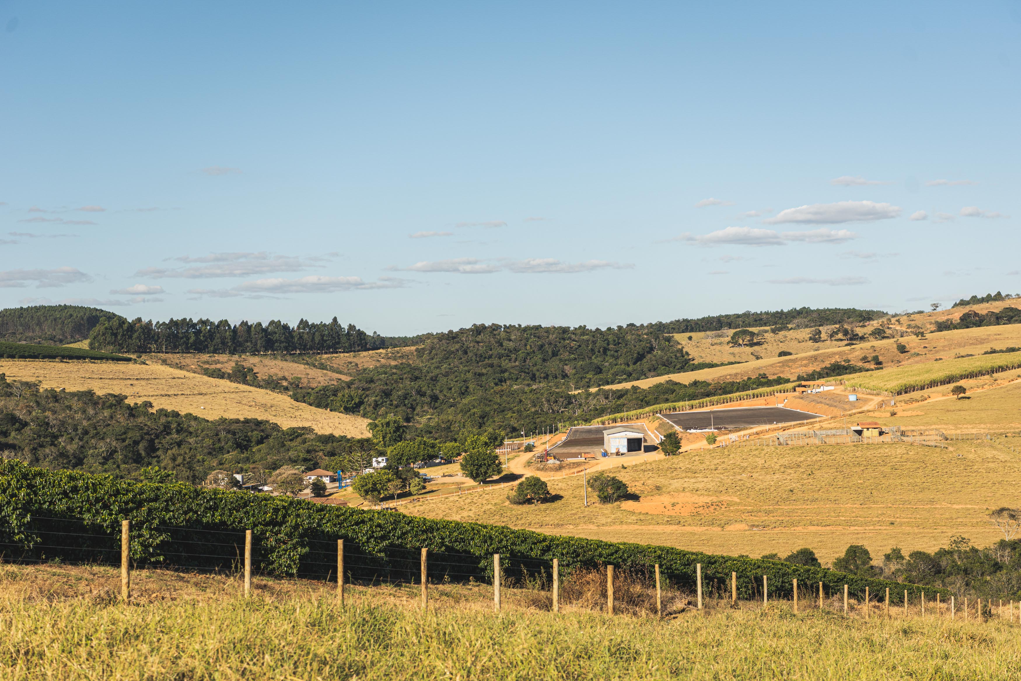Beans：Santa Clara/ Brazil