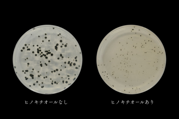 ヒノキチオールとは