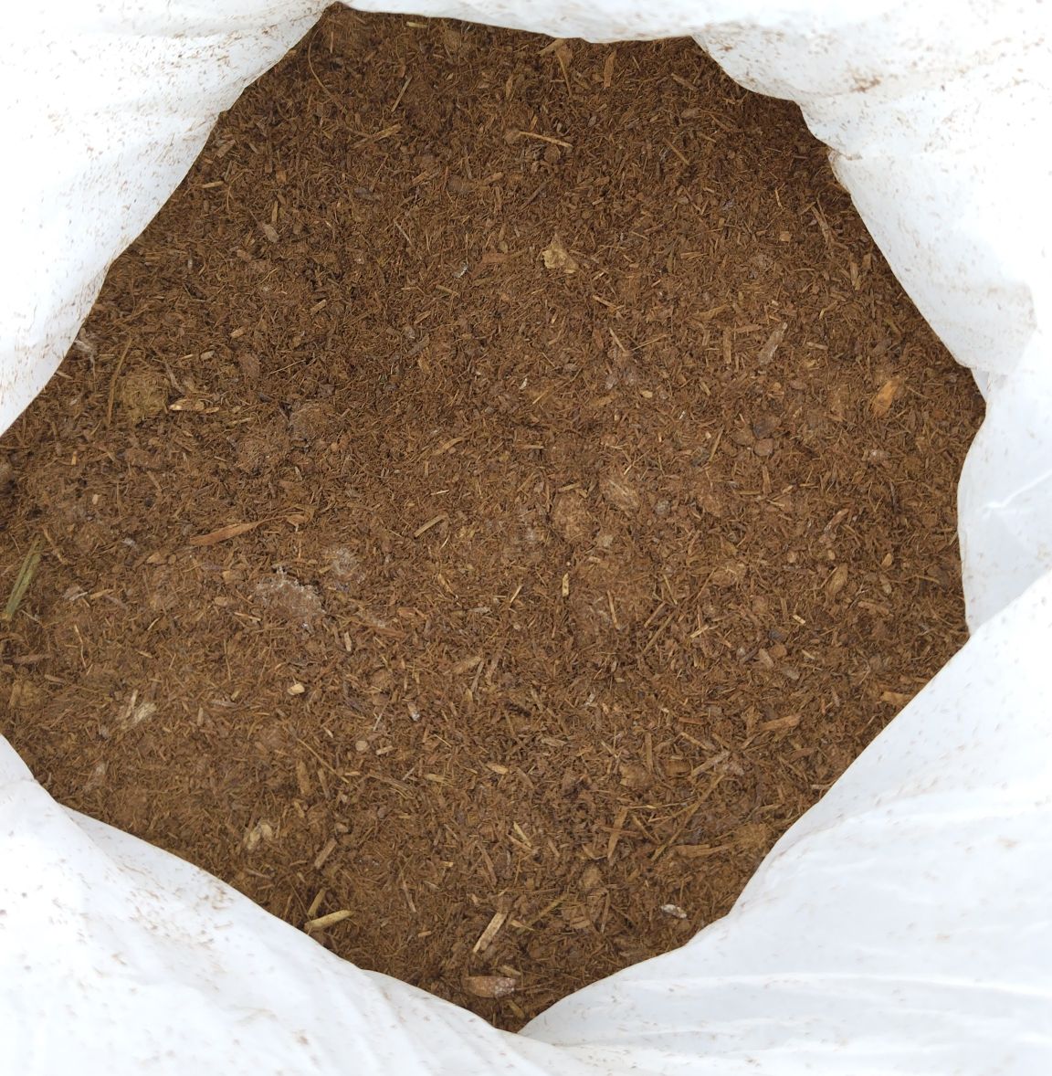 ウマ活通信 2026.2.7