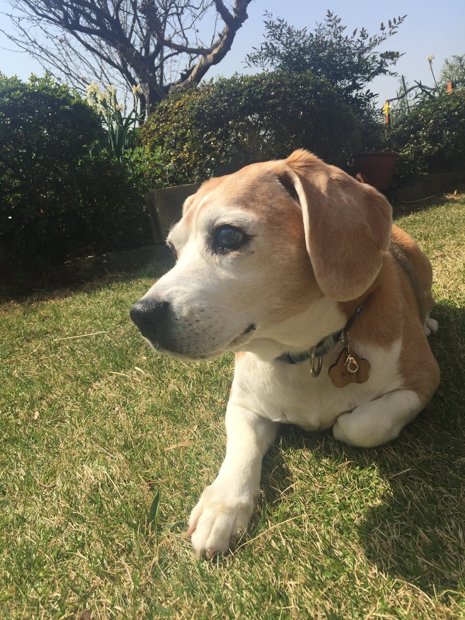 油絵を始めたきっかけ