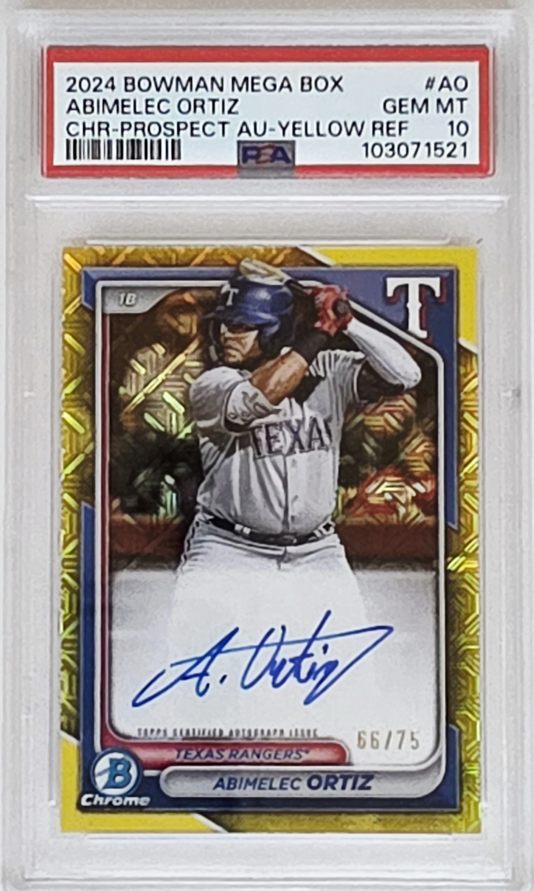 2026年スプリングトレーニング開幕