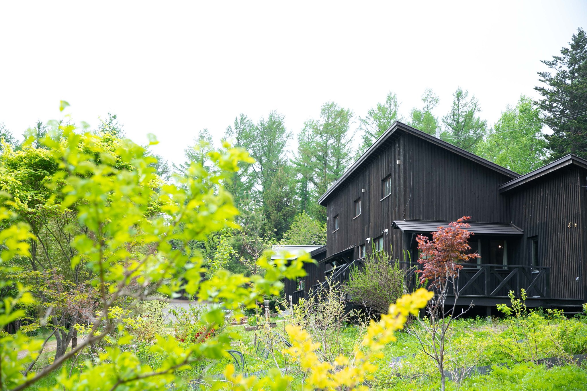 fam中富良野の民泊運営。