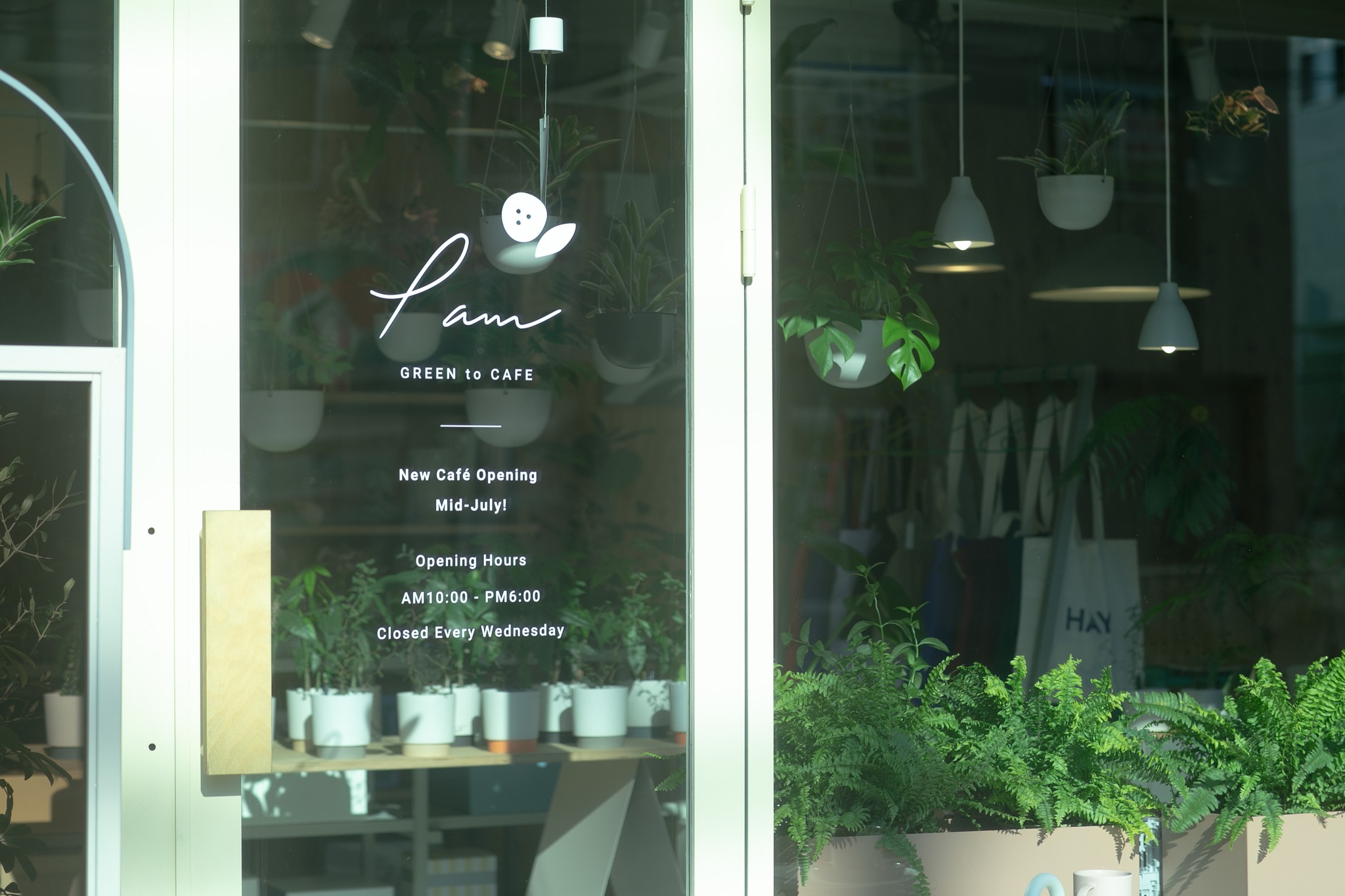 Pamは、7/18にオープンしました。