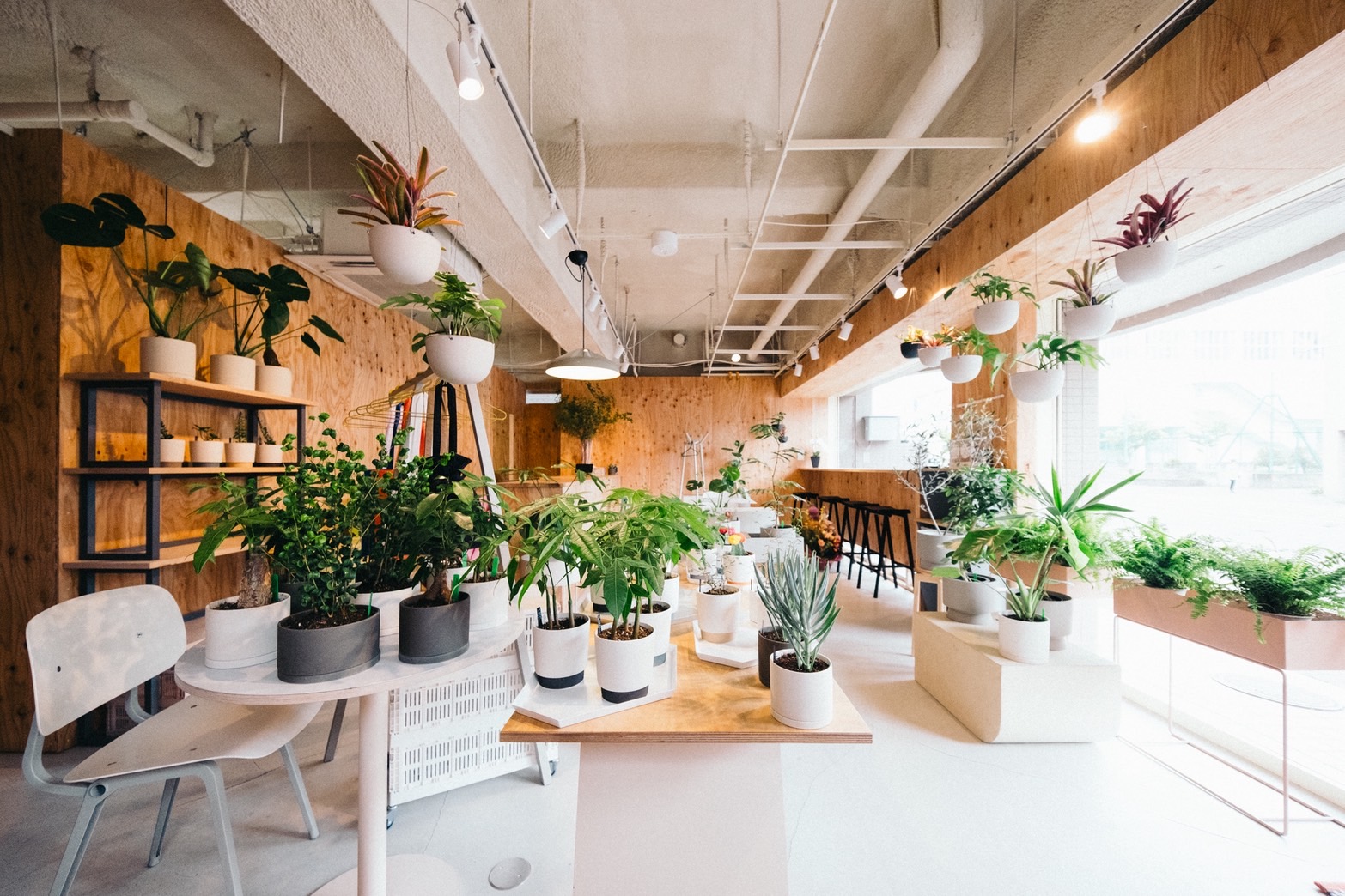 はじめましてPam(パム)です。