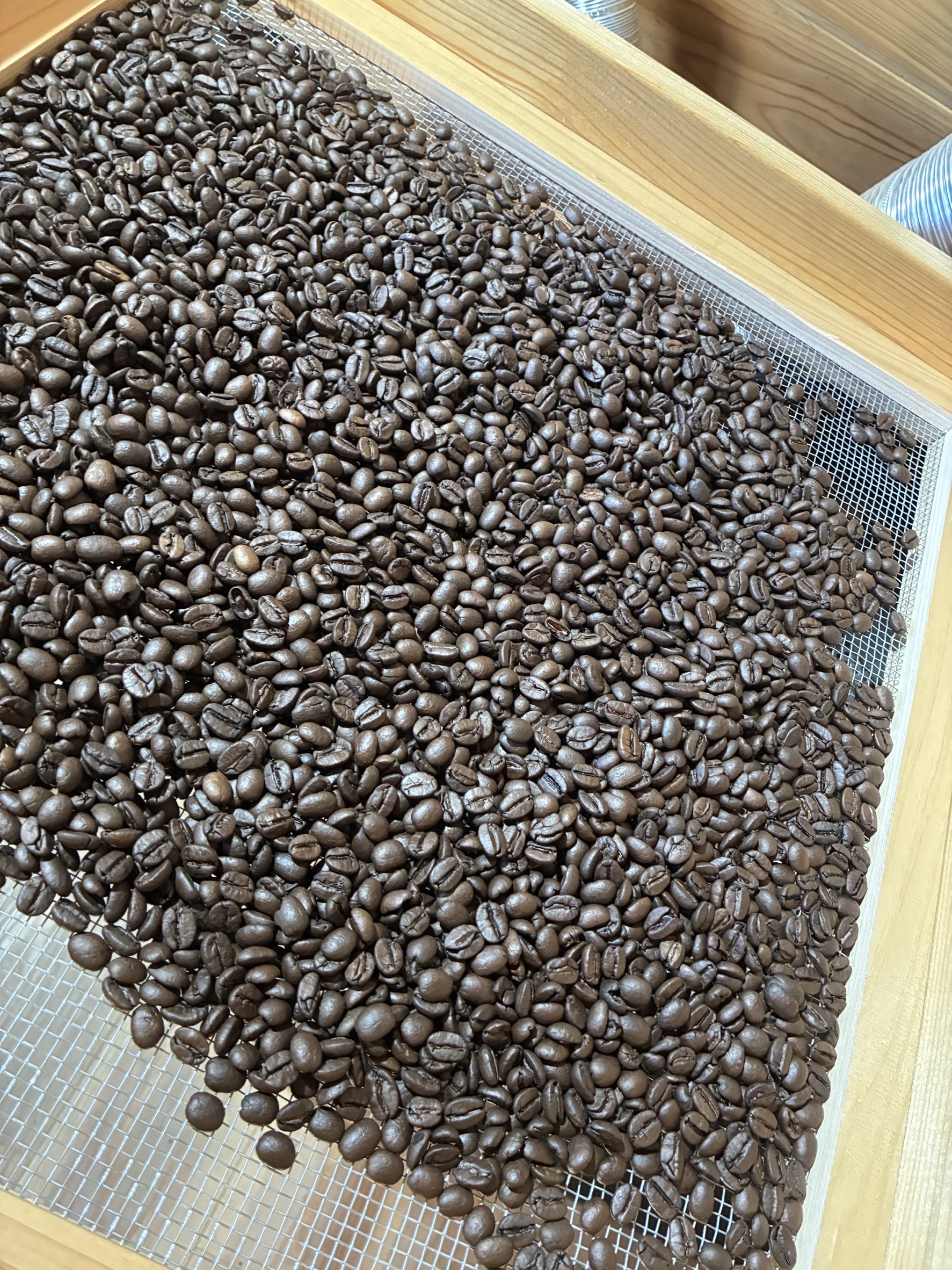 今日の焙煎