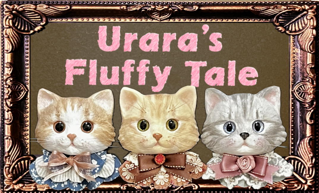 いよいよ、明日オープンです🐱