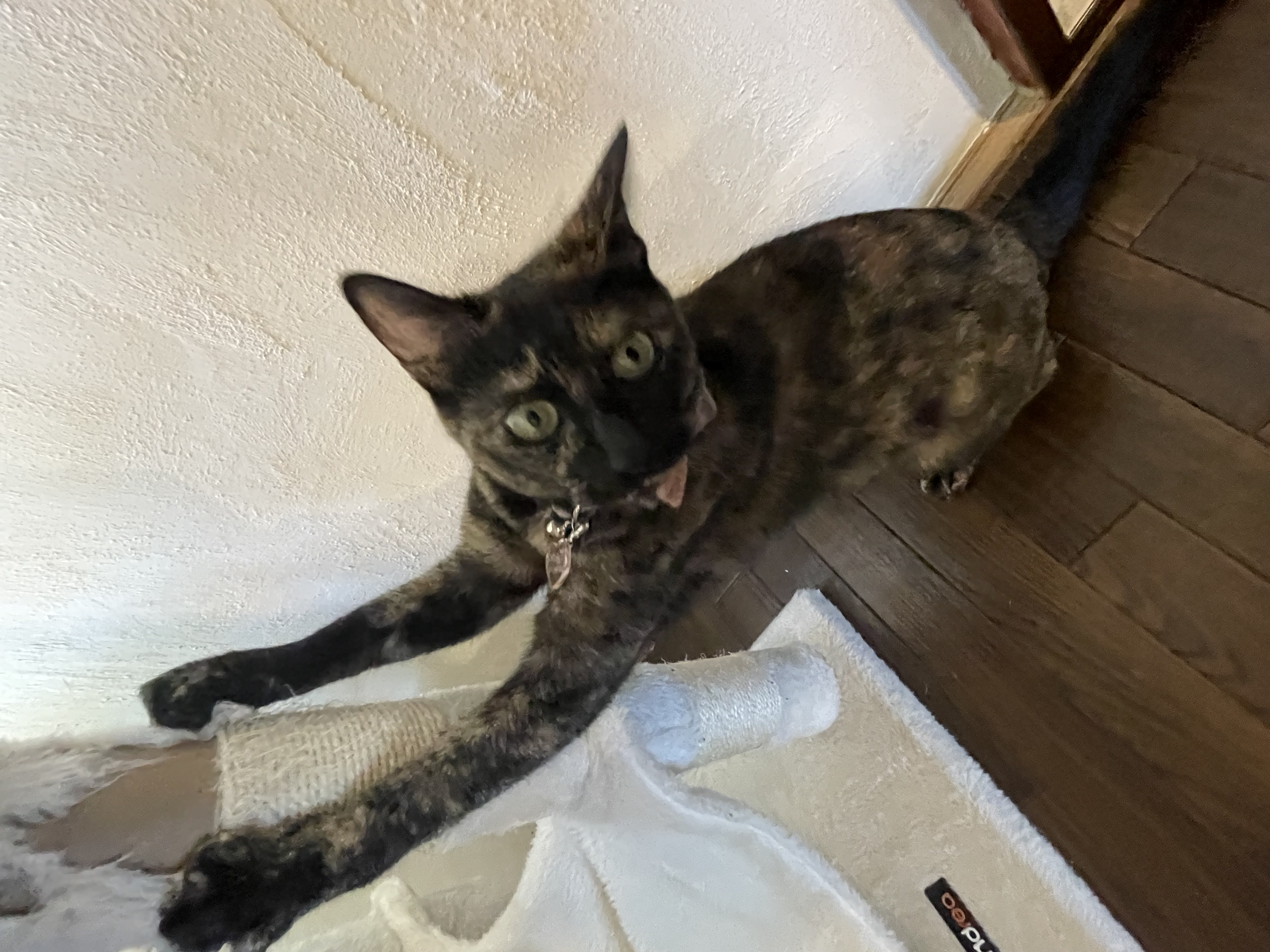 3月19日(定休日)