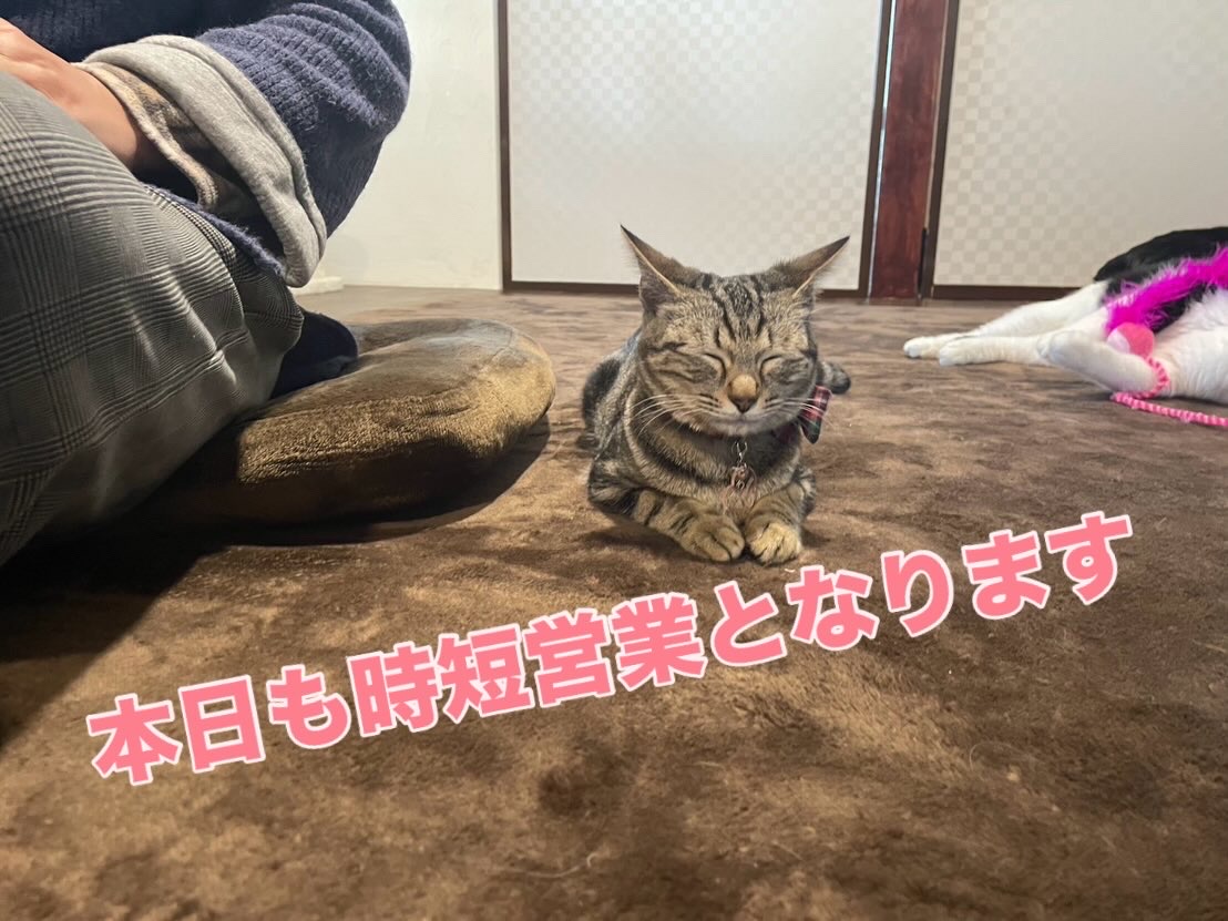 12月30日(時短営業)